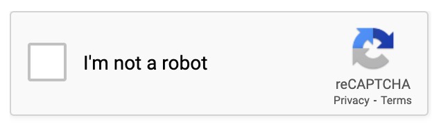26 - reCAPTCHA successful.jpeg